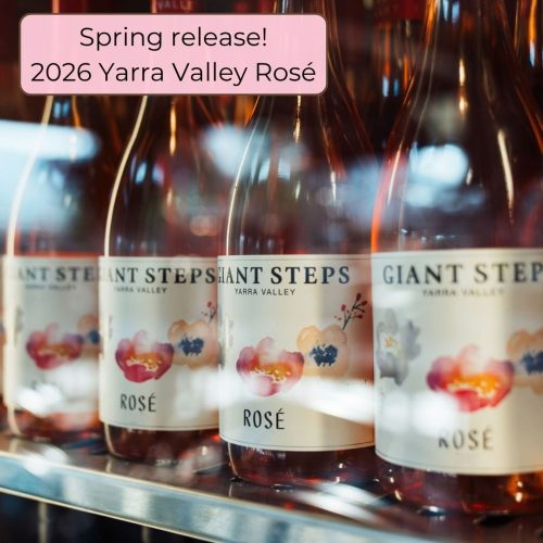 Spring Release Pop up